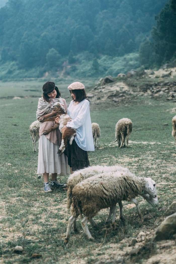 Ảnh Du lịch trại cừu 3