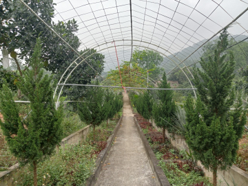 Điểm du lịch khu vườn mẫu xóm Đồng Tráu, xã Sơn Thành